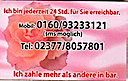 Es ist eine Rose, Rose, Rose!